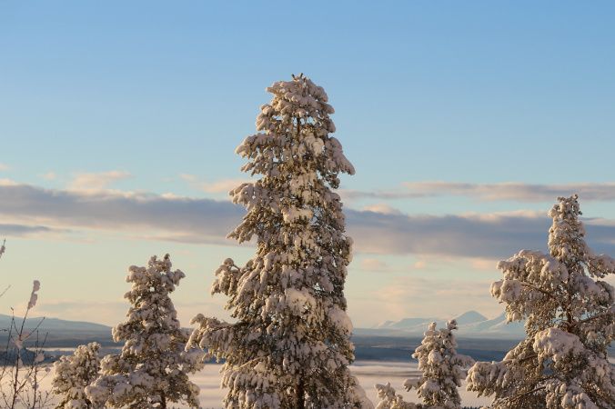 Utsikt från vårat fönster. Norska fjäll i horisonten. 